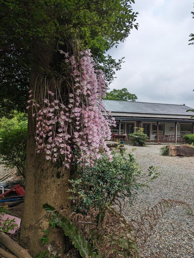Flying Villa Nantou Exterior foto