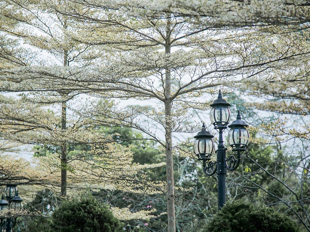 Flying Villa Nantou Exterior foto